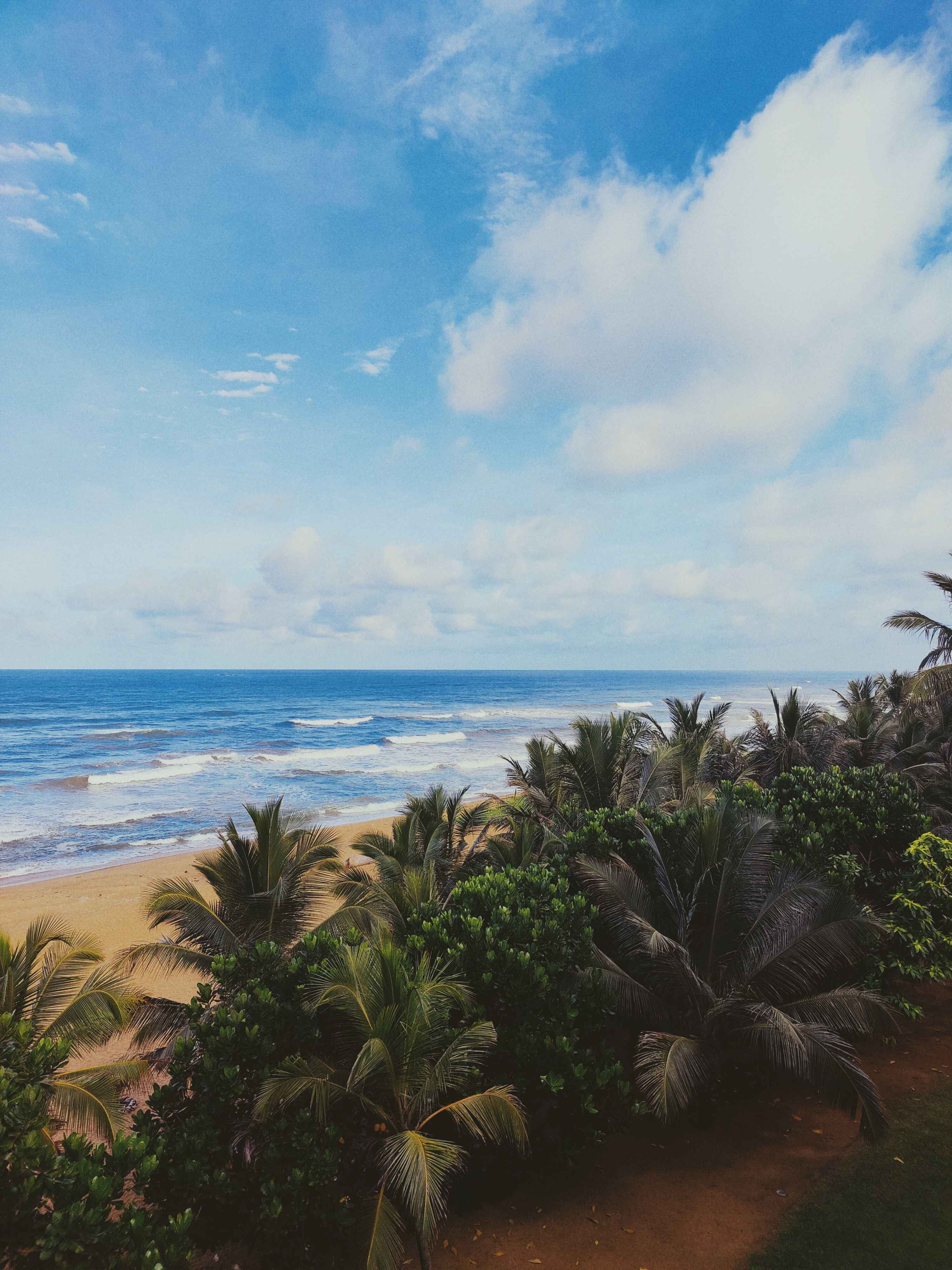 11 Nights / 12 Days Ceylon Odyssey